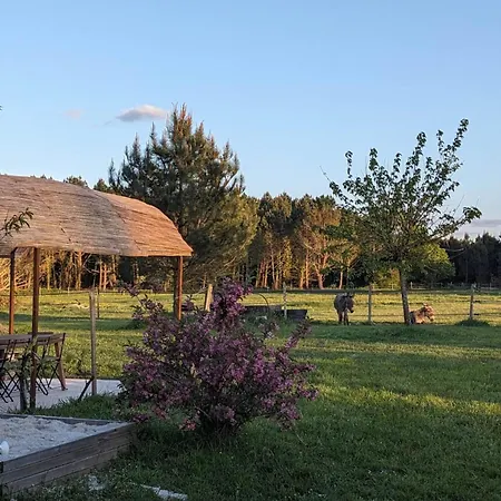 Tatil Evi Lucatum - Domaine D'exception Avec Piscine *