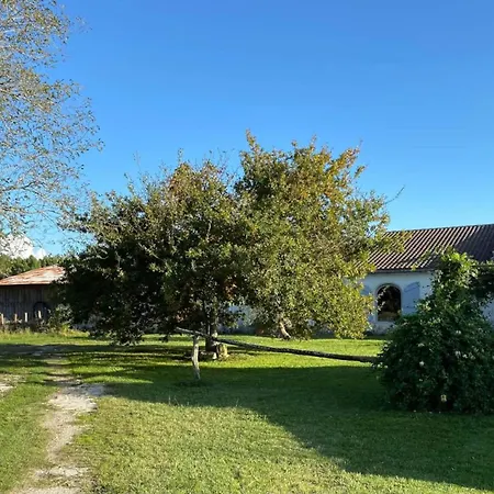 Lucatum - Domaine D'exception Avec Piscine Tatil Evi *