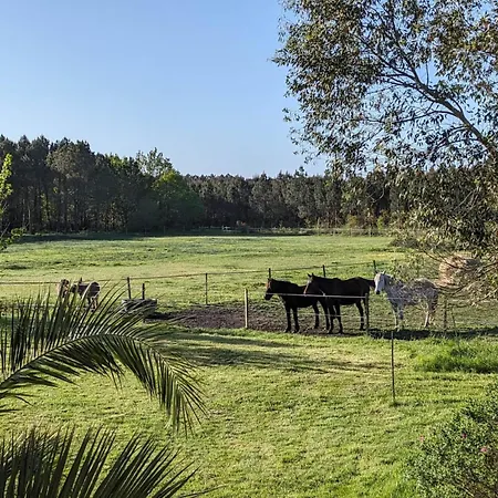 Lucatum - Domaine D'exception Avec Piscine Gaillan-en-Médoc